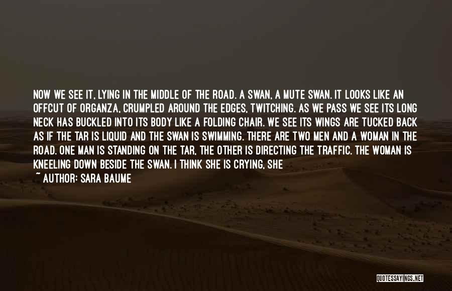 Like A Swan Quotes By Sara Baume