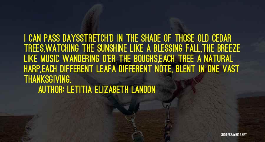 Like A Tree Quotes By Letitia Elizabeth Landon