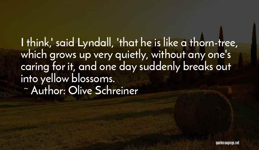 Like A Tree Quotes By Olive Schreiner