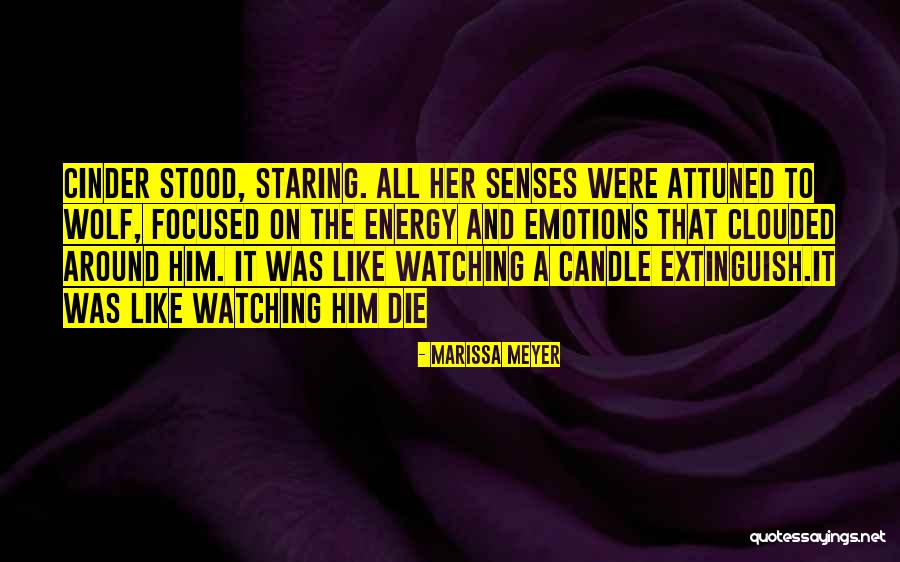 Like A Wolf Quotes By Marissa Meyer Like A Wolf Quotes By Marissa Meyer