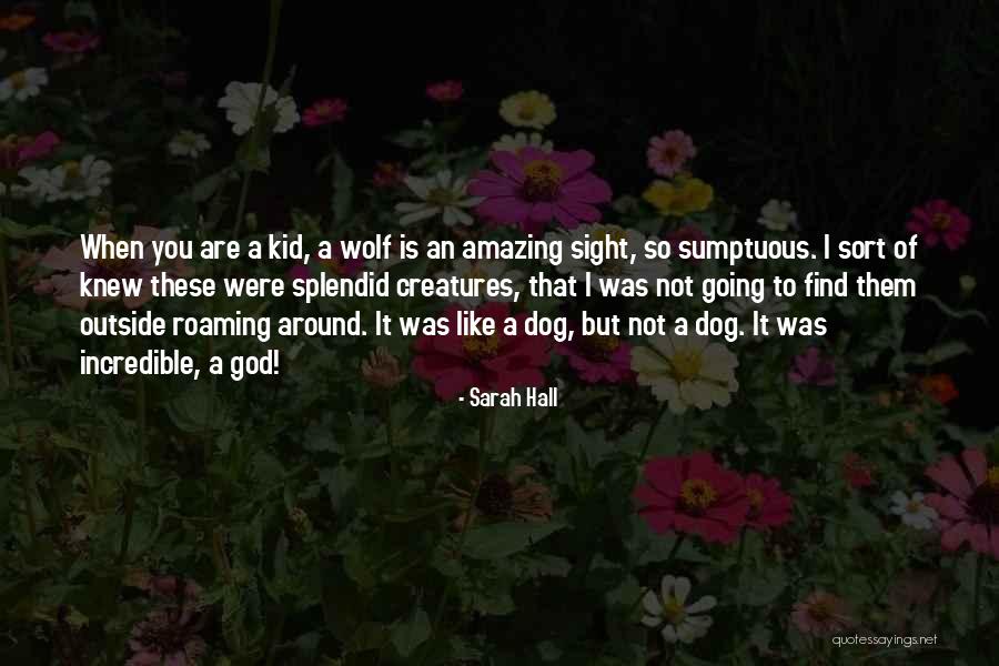 Like A Wolf Quotes By Sarah Hall Like A Wolf Quotes By Sarah Hall
