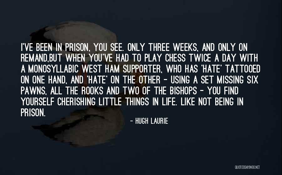 Like And Hate Quotes By Hugh Laurie Like And Hate Quotes By Hugh Laurie
