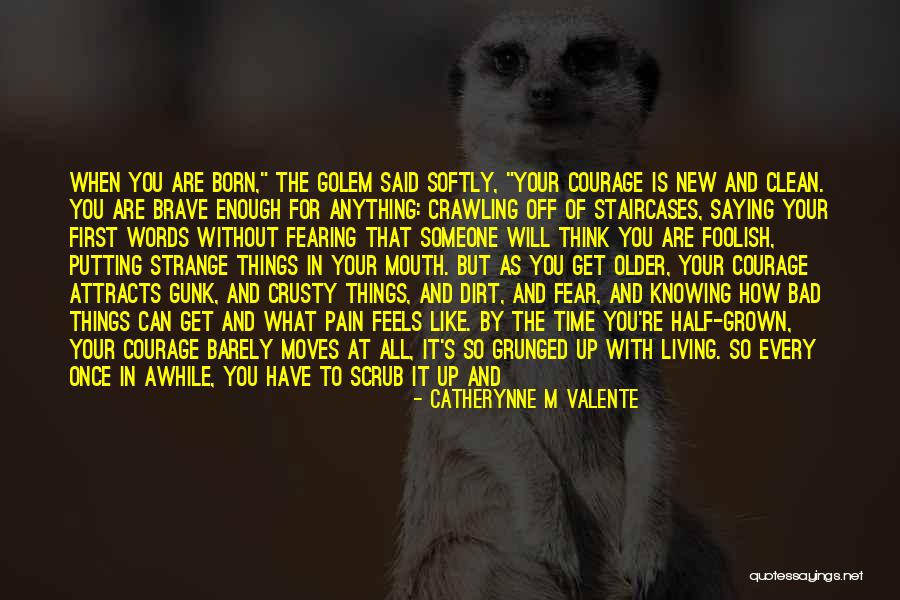 Like Attracts Like Quotes By Catherynne M Valente Like Attracts Like Quotes By Catherynne M Valente