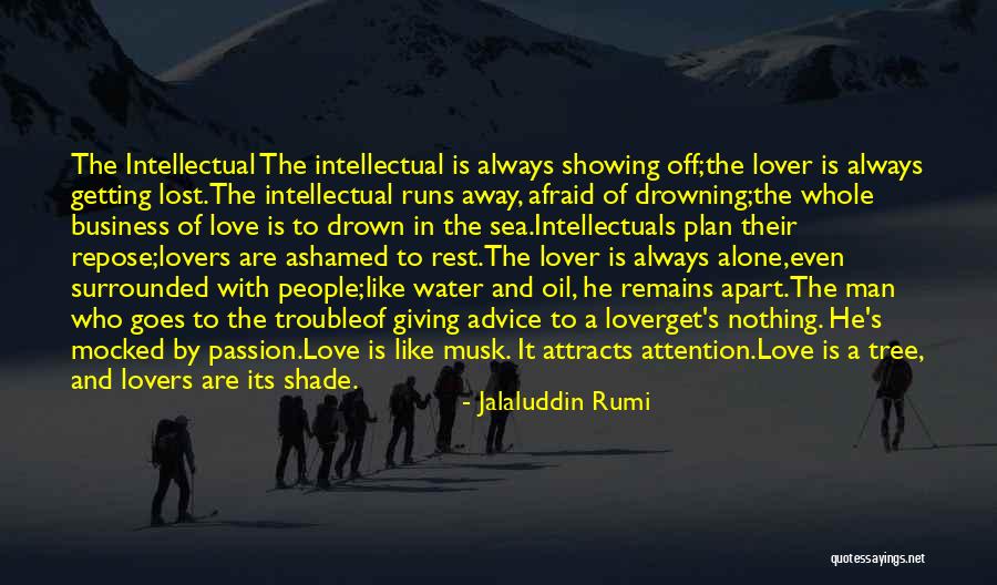 Like Attracts Like Quotes By Jalaluddin Rumi Like Attracts Like Quotes By Jalaluddin Rumi