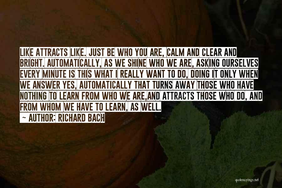 Like Attracts Like Quotes By Richard Bach