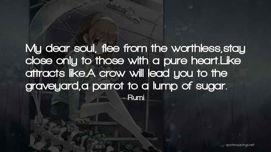 Like Attracts Like Quotes By Rumi Like Attracts Like Quotes By Rumi