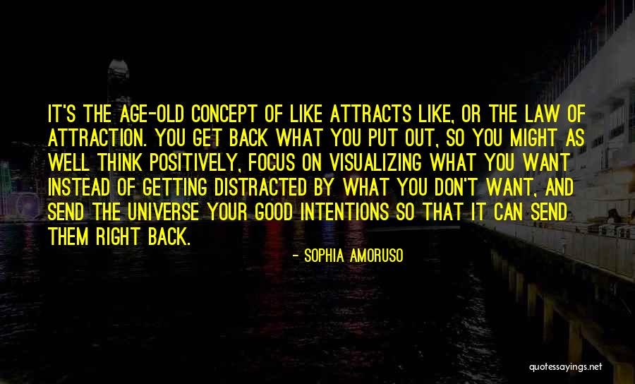 Like Attracts Like Quotes By Sophia Amoruso Like Attracts Like Quotes By Sophia Amoruso