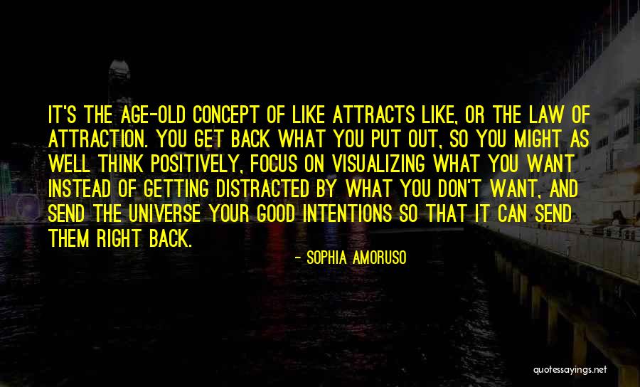 Like Attracts Like Quotes By Sophia Amoruso