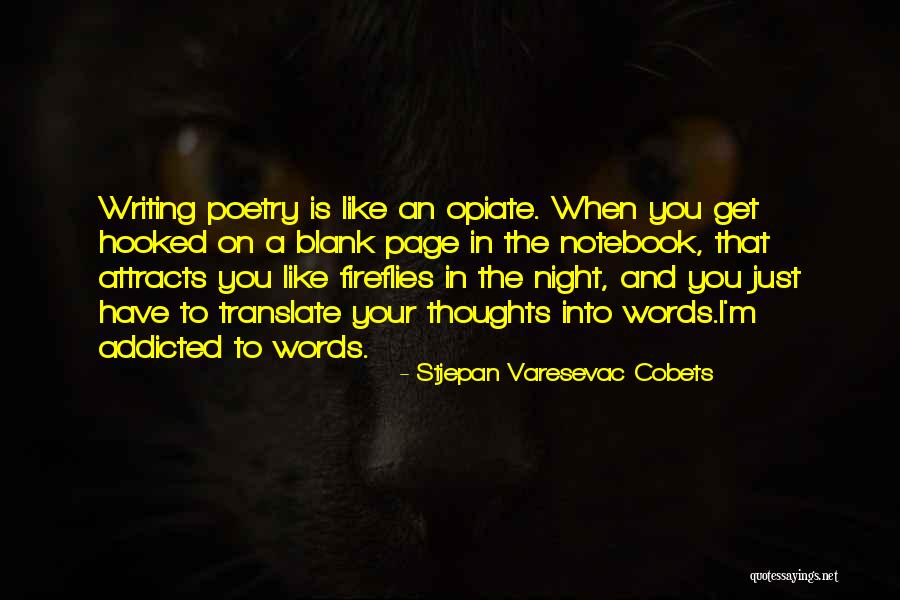 Like Attracts Like Quotes By Stjepan Varesevac Cobets