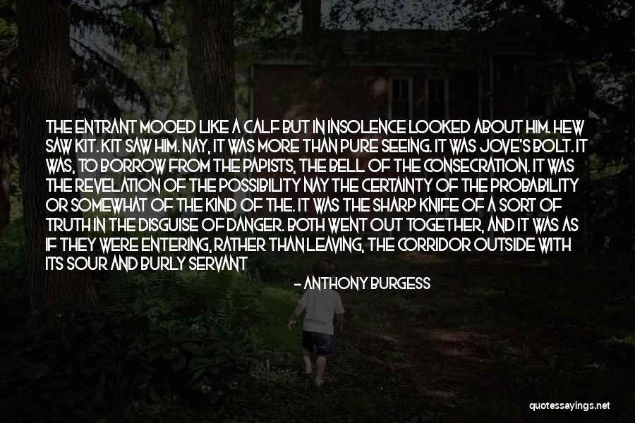Like It Or Not Quotes By Anthony Burgess Like It Or Not Quotes By Anthony Burgess