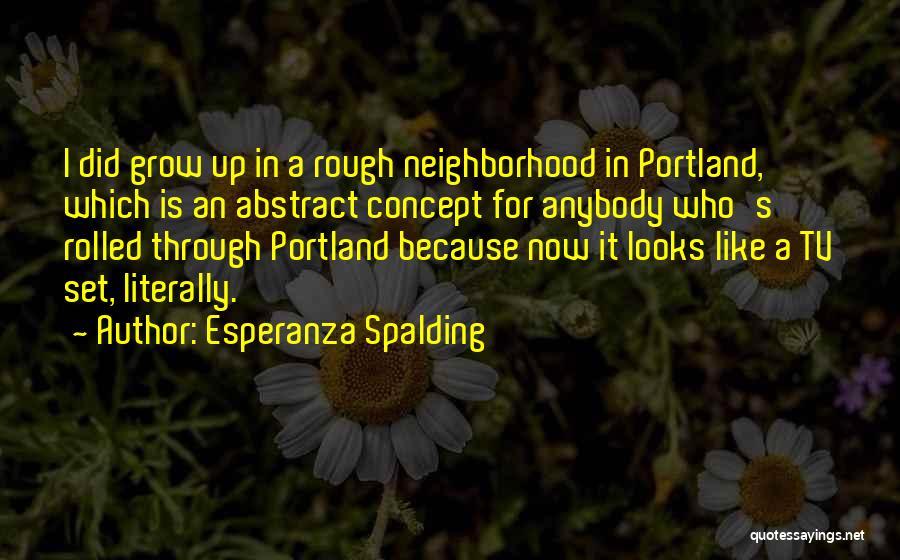 Like It Rough Quotes By Esperanza Spalding