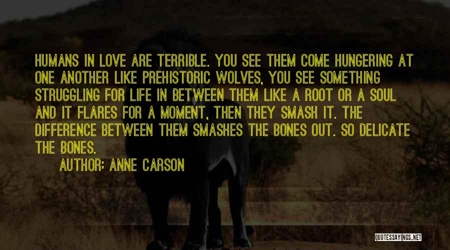 Like Love Difference Quotes By Anne Carson