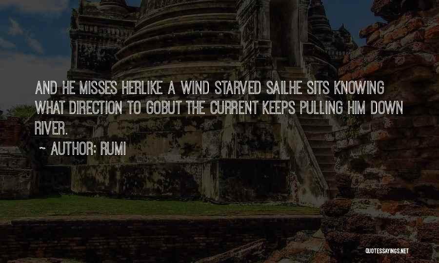 Like Misses Quotes By Rumi