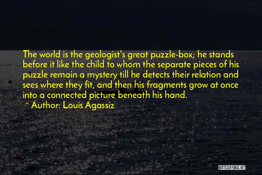 Like Pieces Of A Puzzle Quotes By Louis Agassiz