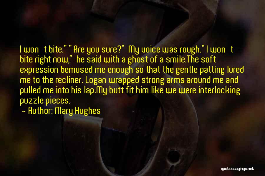 Like Pieces Of A Puzzle Quotes By Mary Hughes