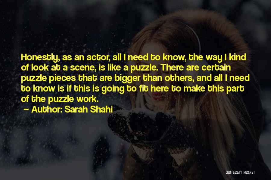 Like Pieces Of A Puzzle Quotes By Sarah Shahi