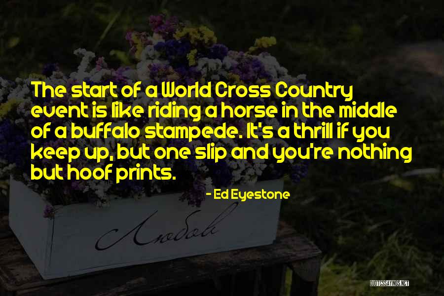 Like Riding A Horse Quotes By Ed Eyestone Like Riding A Horse Quotes By Ed Eyestone