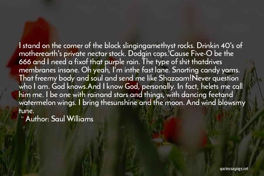 Like Stars On Earth Quotes By Saul Williams