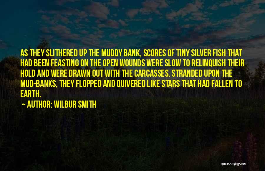 Like Stars On Earth Quotes By Wilbur Smith