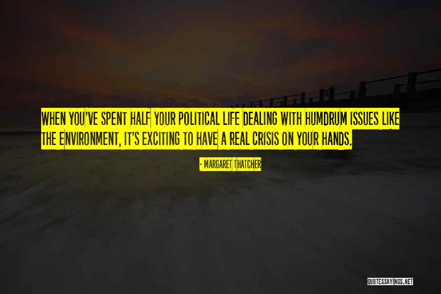 Like The Life Quotes By Margaret Thatcher Like The Life Quotes By Margaret Thatcher