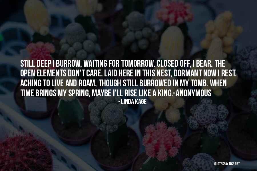 Like Theres No Tomorrow Quotes By Linda Kage