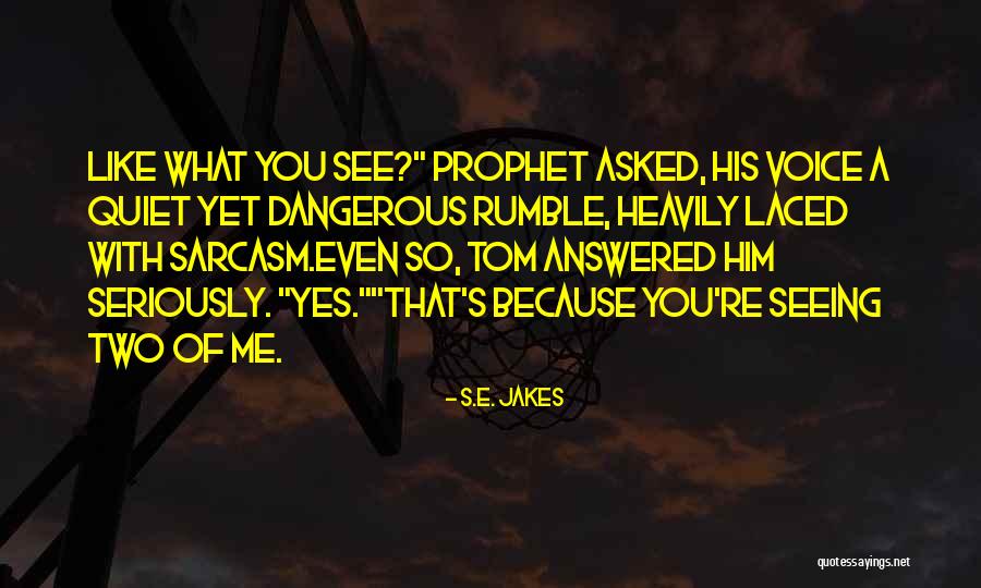 Like You Quotes By S.E. Jakes