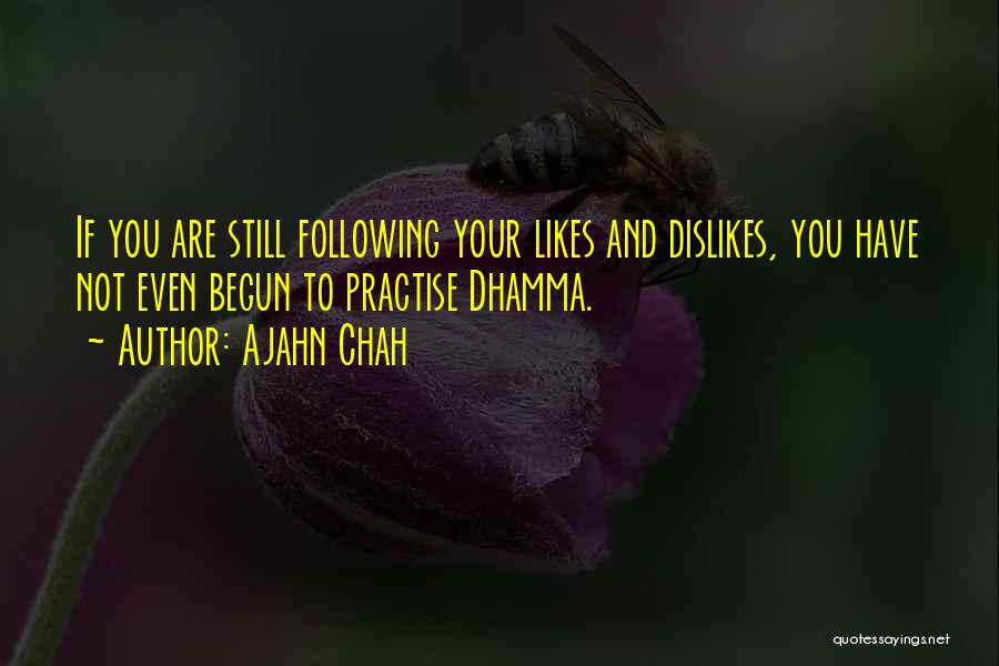 Likes Dislikes Quotes By Ajahn Chah