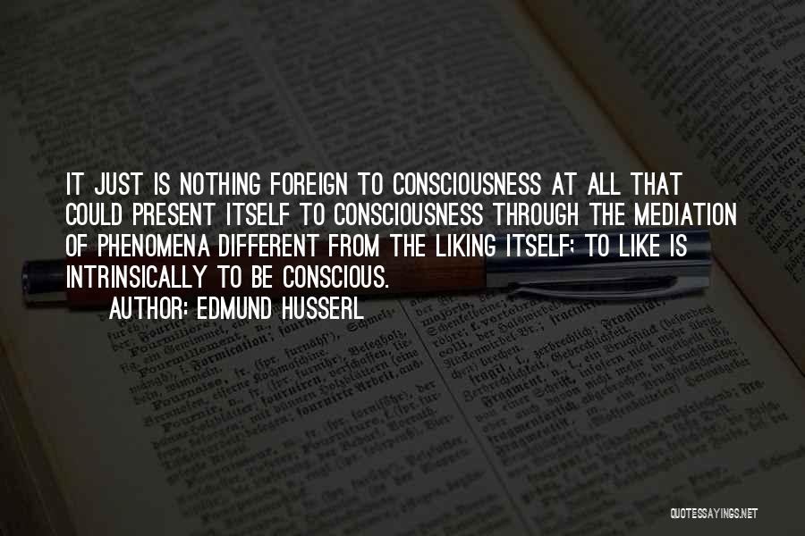 Liking Different Things Quotes By Edmund Husserl