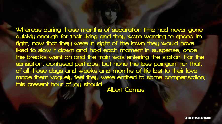 Liking It Quotes By Albert Camus Liking It Quotes By Albert Camus