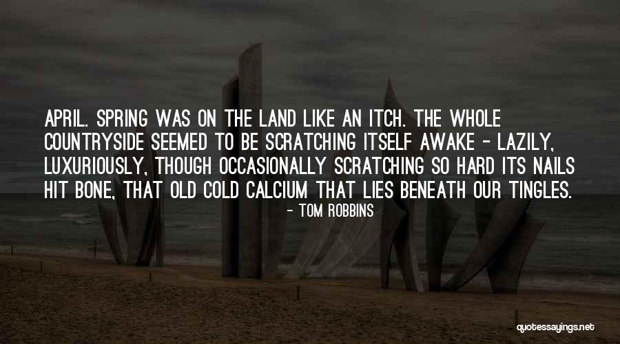 Liking More Than One Guy Quotes By Tom Robbins Liking More Than One Guy Quotes By Tom Robbins