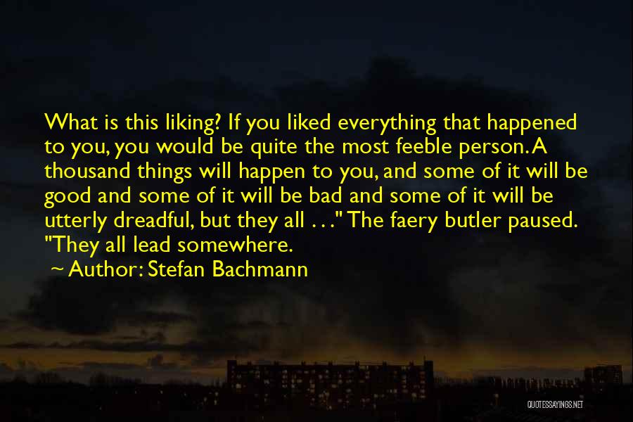 Liking Someone Too Good For You Quotes By Stefan Bachmann