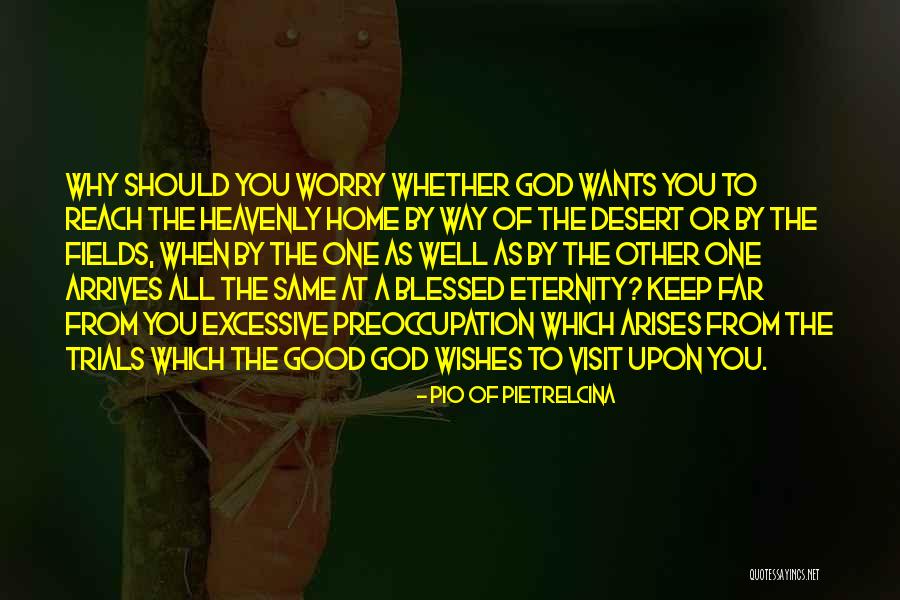 Likki Dee Quotes By Pio Of Pietrelcina Likki Dee Quotes By Pio Of Pietrelcina