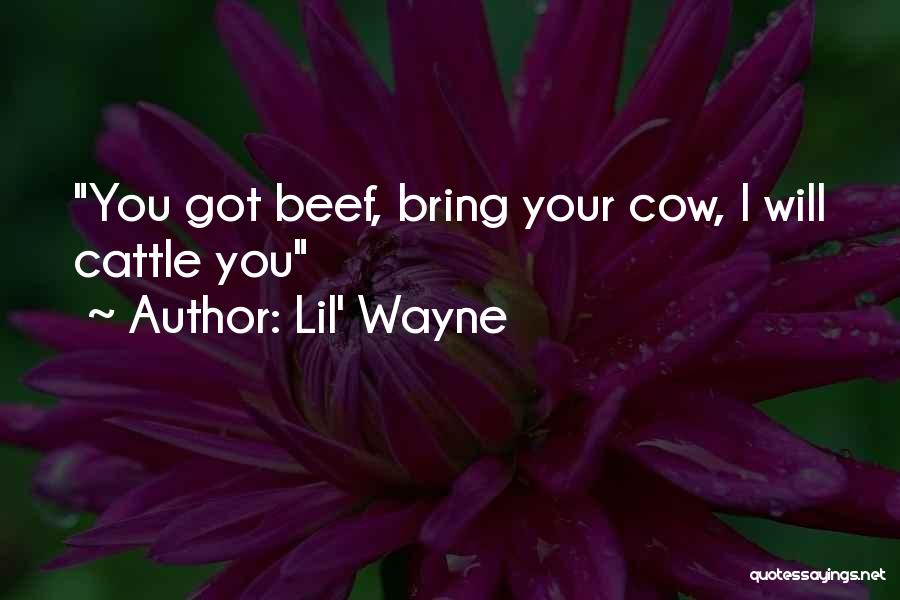 Lil' Wayne Quotes 217976