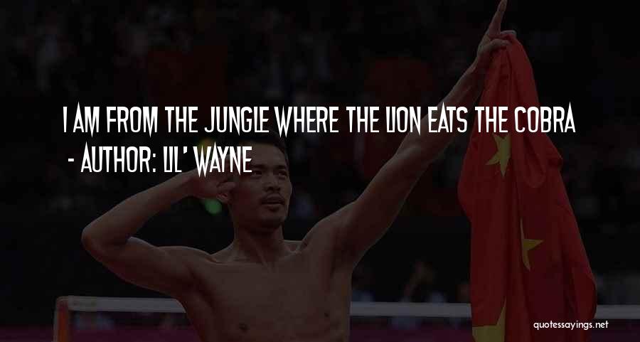 Lil' Wayne Quotes 295586