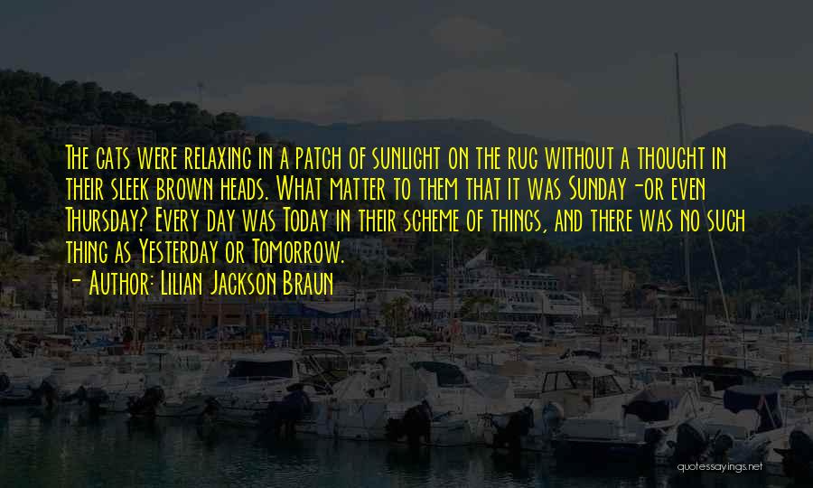 Lilian Jackson Braun Quotes 953247