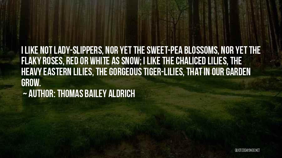 Lilies And Roses Quotes By Thomas Bailey Aldrich