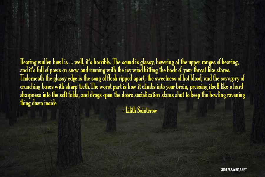 Lilith Saintcrow Quotes 1100282