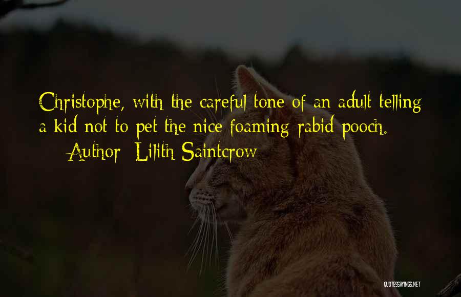 Lilith Saintcrow Quotes 1895538