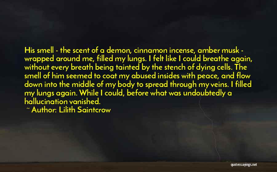 Lilith Saintcrow Quotes 673452