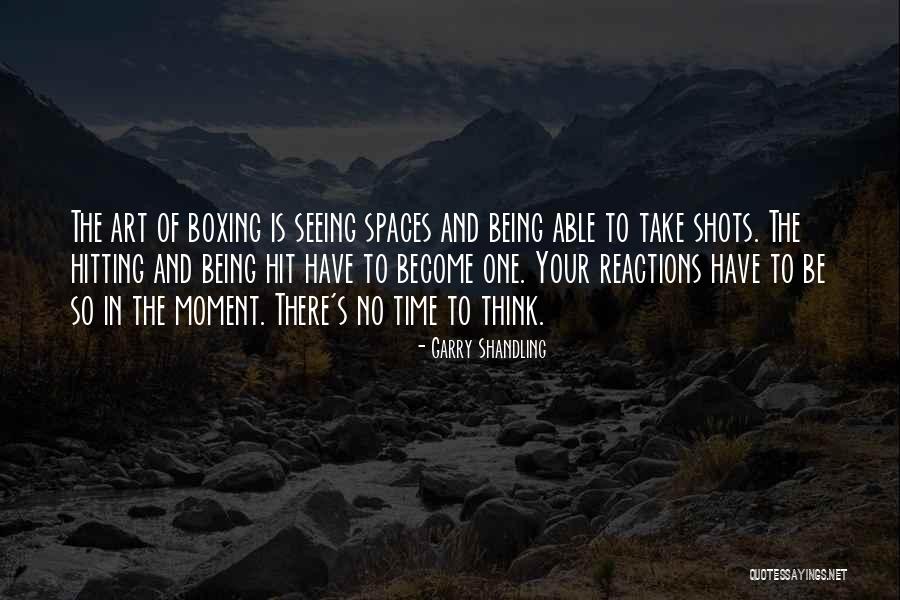 Liljana Hoxha Quotes By Garry Shandling Liljana Hoxha Quotes By Garry Shandling