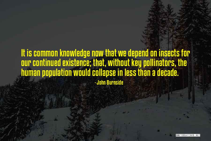 Liljana Kondakci Quotes By John Burnside Liljana Kondakci Quotes By John Burnside