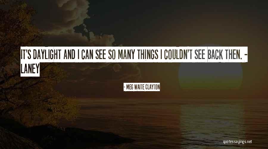 Lillian Lynburn Quotes By Meg Waite Clayton Lillian Lynburn Quotes By Meg Waite Clayton