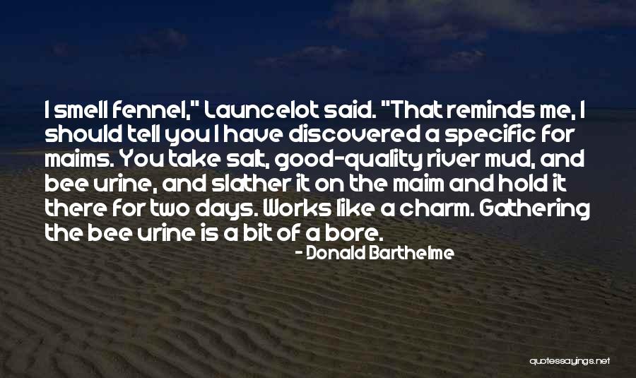 Lillicrap Book Quotes By Donald Barthelme Lillicrap Book Quotes By Donald Barthelme