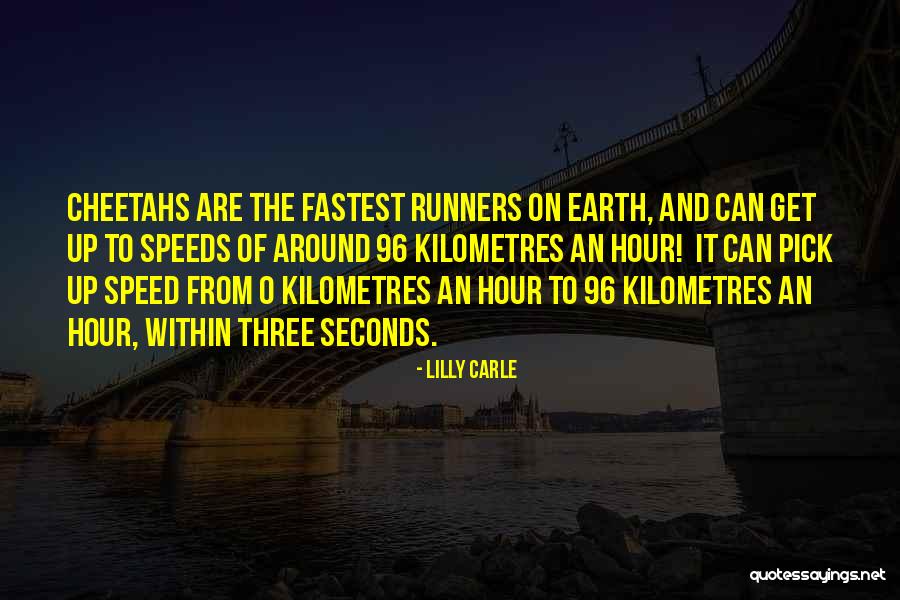 Lilly Carle Quotes 2068341 Lilly Carle Quotes 2068341
