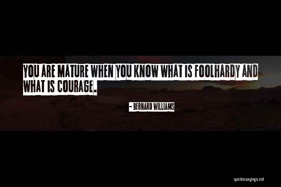 Lilton Davis Quotes By Bernard Williams Lilton Davis Quotes By Bernard Williams