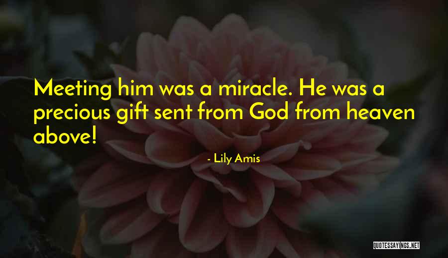 Lily Amis Quotes 529461