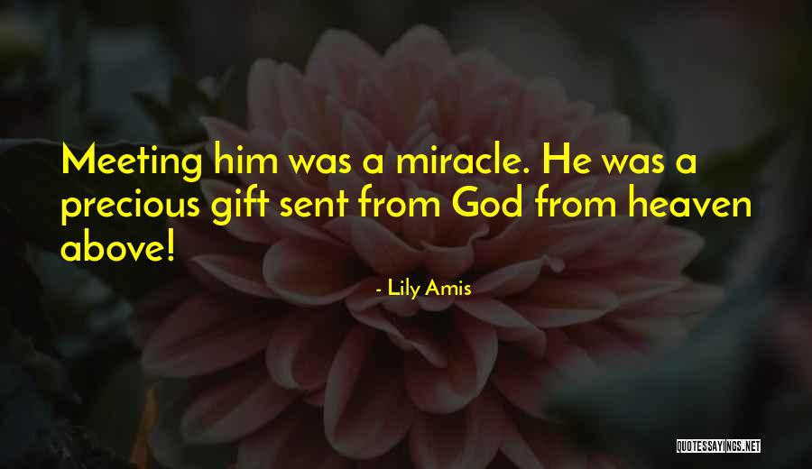 Lily Amis Quotes 529461