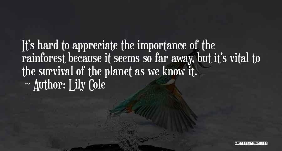 Lily Cole Quotes 810627