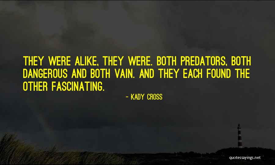 Lily Mae Rische Quotes By Kady Cross Lily Mae Rische Quotes By Kady Cross