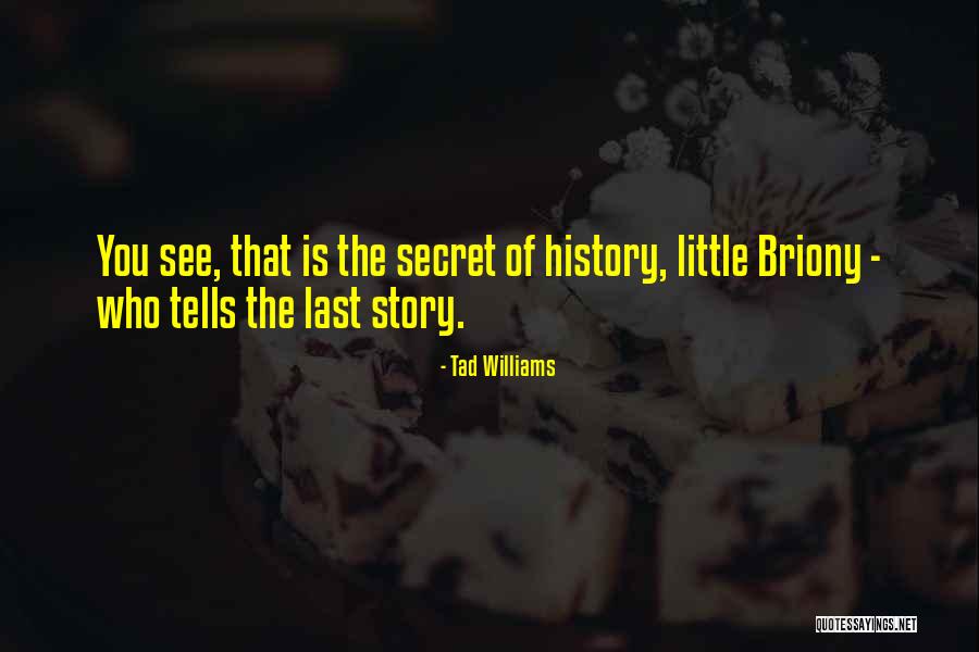 Lily Mae Rische Quotes By Tad Williams